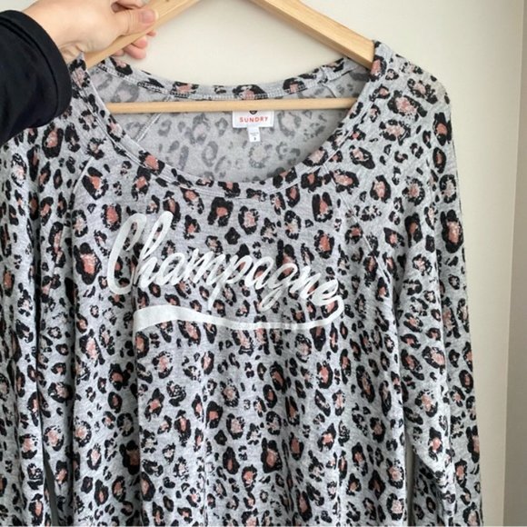 SUNDRY Gray Champagne Crop Pullover Leopard Animal Print Graphic Top - Picture 3 of 12